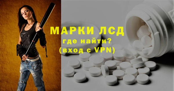 хмурый Абаза