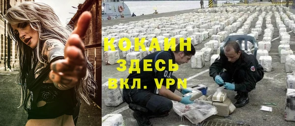 хмурый Абаза