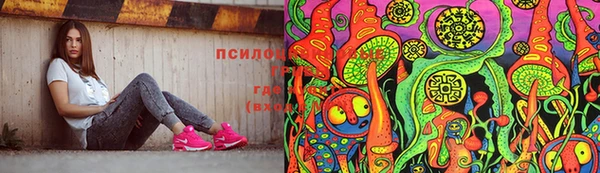 хмурый Абаза