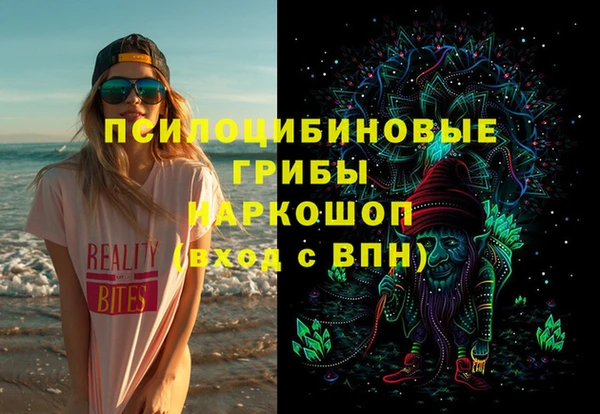 хмурый Абаза